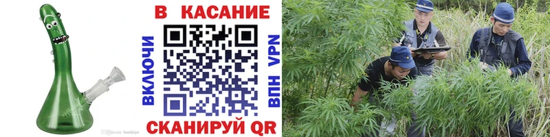 Псилоцибиновые грибы Заринск