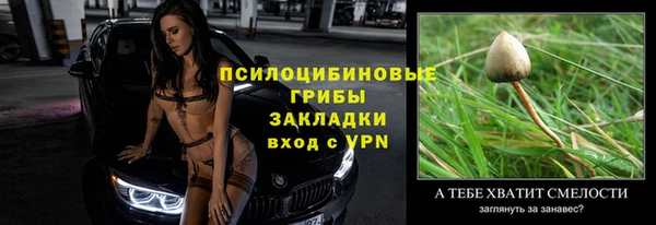 мескалин Михайлов