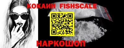 крисы Бийск