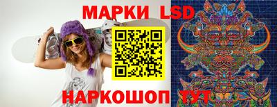 крисы Бийск