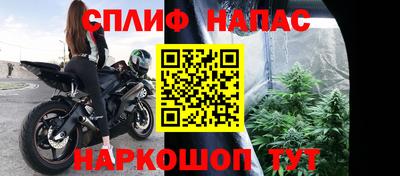 крисы Бийск