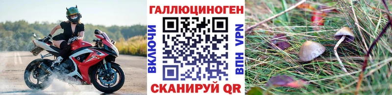 купить наркотики сайты Заринск Псилоцибиновые грибы Psilocybine cubensis