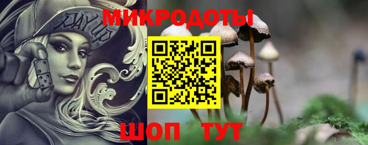 Галлюциногенные грибы Psilocybine cubensis  Заринск  Псилоцибиновые грибы Psilocybe 