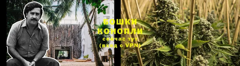 сайты даркнета Telegram  хочу   Заринск  Канабис White Widow 